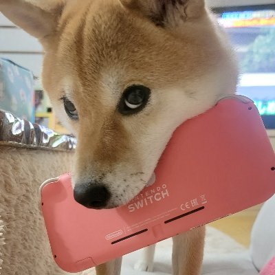 meron_yoshi's profile picture