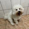 lileve0918@gmail.com profil fotoğrafı