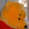 海熊🐻いずみ💦瑞999🚂茜❤️月組🌛's profile picture