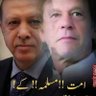 SYED TURKIA's profile picture
