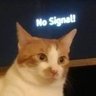 No Signal's profile picture