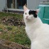 monzi profil fotoğrafı
