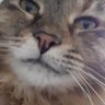 Profilbild von Debbie Doesn't