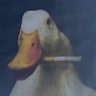 drew p.'s profile picture