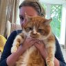 AShilvock profil fotoğrafı