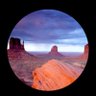 Craig Saffioti's profile picture