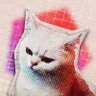 Profilbild von nyuppo