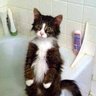 Фото профиля Emekli_Kedi