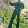 Abe Stone's profile picture