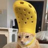 Hen's profile picture