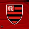 Agora o Flamengo terá seu estádio!!! profil fotoğrafı