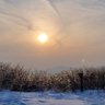 Фото профиля coredao
