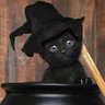 Сима's profile picture