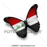 UM HUSSAM's profile picture