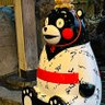 やま ちゃん profil fotoğrafı