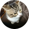 よー☆(低浮上)'s profile picture