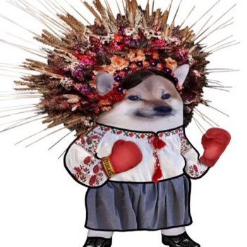 INNAfo2023's profile picture