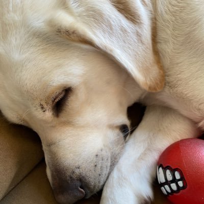 HI_LL's profile picture