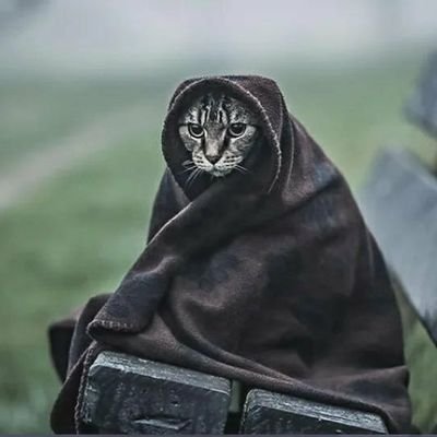 Black & White's profile picture