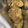 Фото профиля nastyjack12