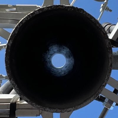 Hercelot / ハースロット's profile picture