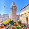 🇹🇷عشقي تركيا🇹🇷's profile picture