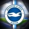 Фото профиля BRIGHTON DE AMERICA 🇦🇷🇪🇨🇵🇾🇧🇷