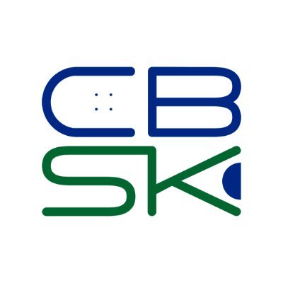 Confederação Brasileira de Skateboarding's profile picture