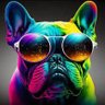 Funky Pantz profil fotoğrafı