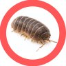 PILL BUG PLACE's profile picture