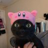 ฅ^•ﻌ•^ฅ ᵐᵉᵒʷ's profile picture