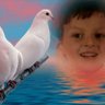koç4141's profile picture