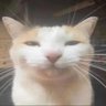 kRUMPLY's profile picture