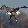 Liberté 🦅 🇫🇷's profile picture