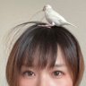いとりちゃん's profile picture