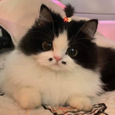 Thisisagoodday2's profile picture