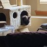 Kristi Claw profil fotoğrafı