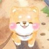 chocolate's profile picture