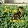 Profilbild von Jola.Iza Lubelanka z Podkarpacia