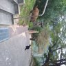 MAKA profil fotoğrafı