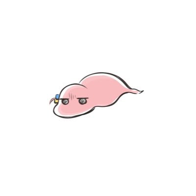 kzhto's profile picture