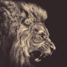 AslanBey 𐱅𐰇𐰼𐰰🇹🇷's profile picture