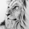 Bob Marley VR 5. 👊🦁's profile picture