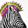 Фото профиля la gata de Aluche 🦓