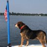 Webby 🇺🇸's profile picture