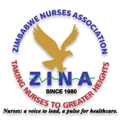 zimnurses_assoc's profile picture