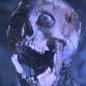 Choppa's profile picture