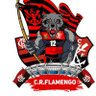 🔴⚫TropadoFlamengo ⭐🥋🏆 的头像