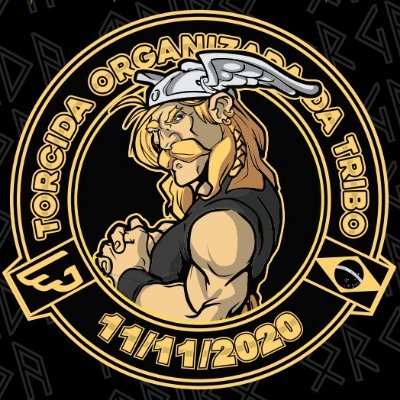 ORGANIZADA DA TRIBO's profile picture