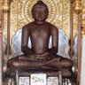 shreya jain's profile picture